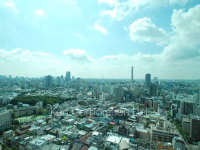 View from the property