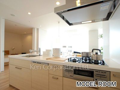 Kitchen ※Photo of the same layout on 16 floor. Decoration and fixture may differ.