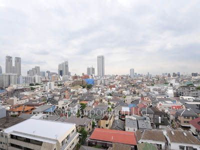 View from the property