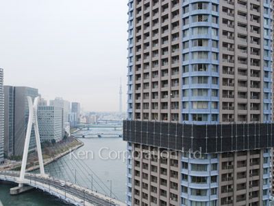 View from the property