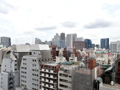 View from the property