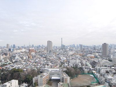 View from the property