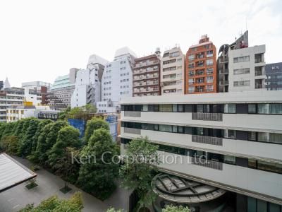 View from the property