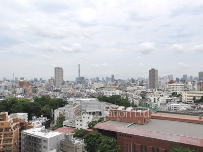 View from the property