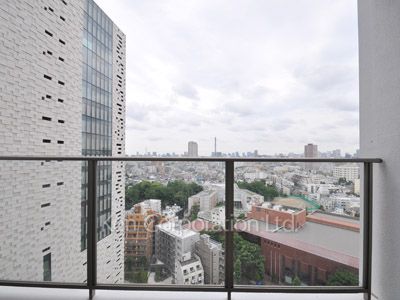View from the property