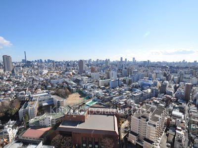 View from the property