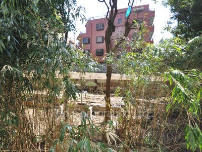 View from the property