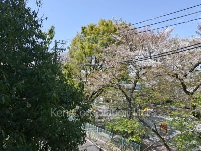 View from the property