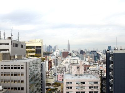 View from property