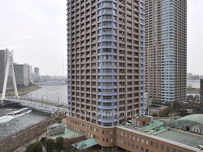 View from the property
