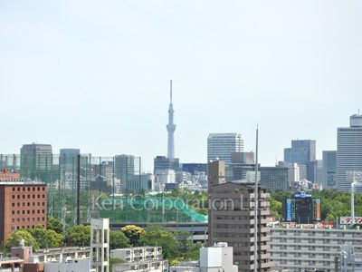 View from the property