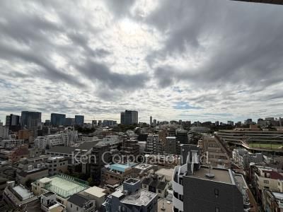 View from the property