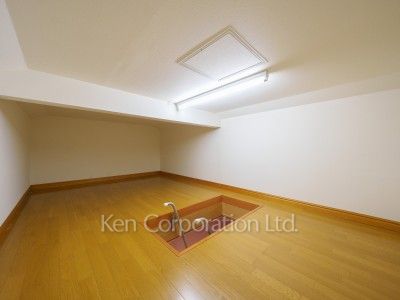 Attic Storage
