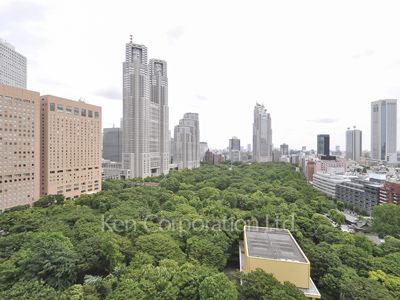 View from the property