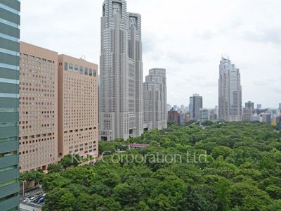 View from the property