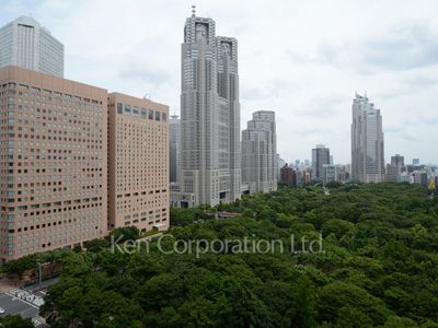 View from the property