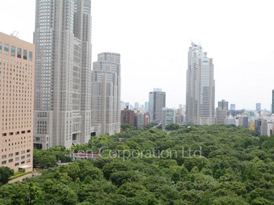 View from the property