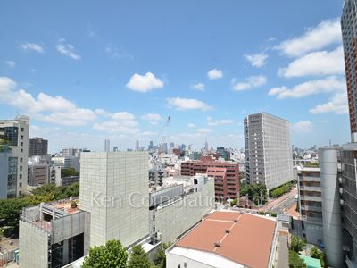 View from the property