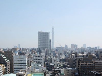 View from the property