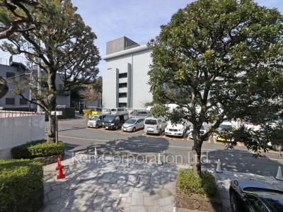 View from the property