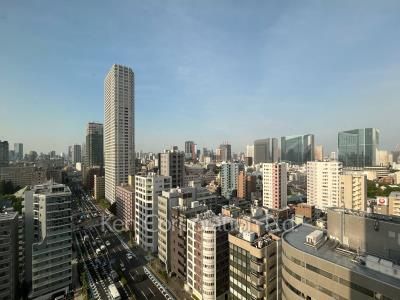 View from the property
