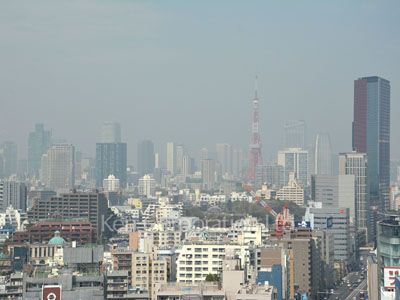 View from the property