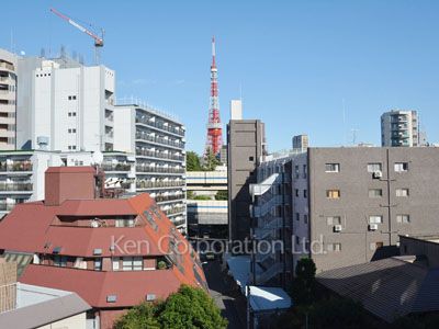 View from the property