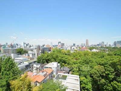 View from the property