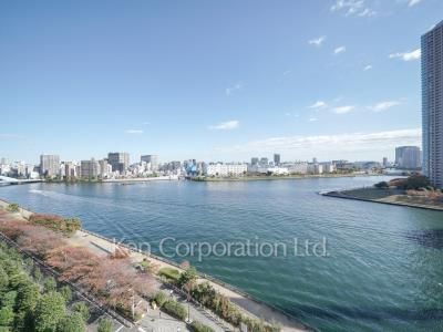 View from the property