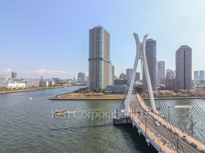 View from the property