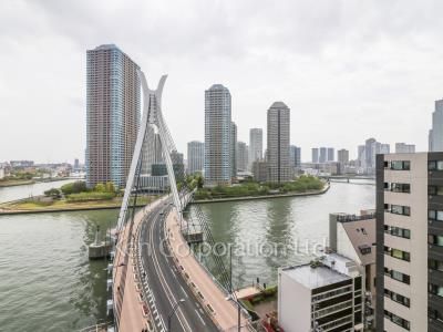 View from the property