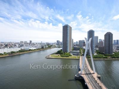 View from the property