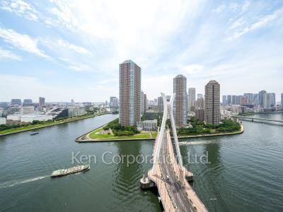 View from the property