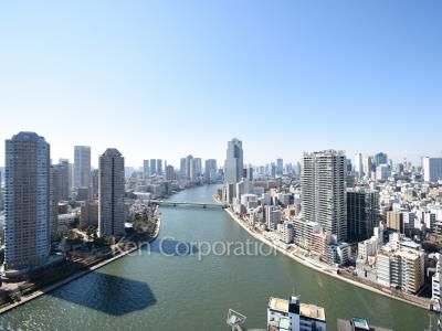 View from the property