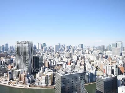 View from the property