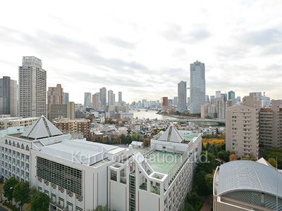 View from the property