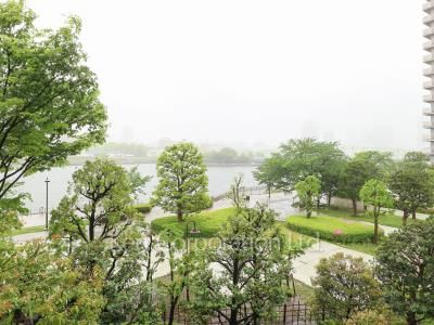 View from the property