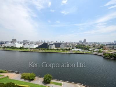 View from the property