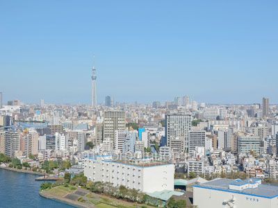 View from the property