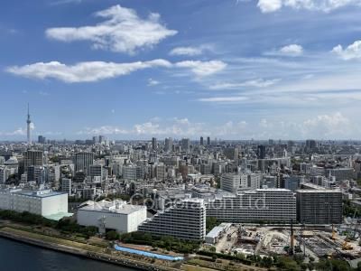 View from the property