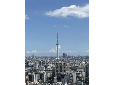 View from the property