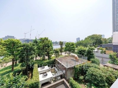 View from the property