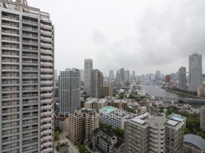 View from the property