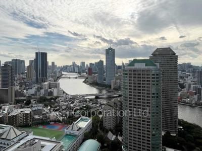 View from the property