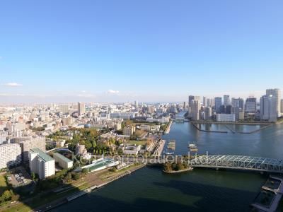 View from the property