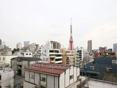 View from the property
