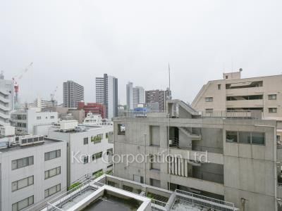 View from the property