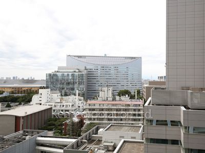 View from the property