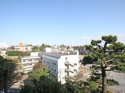 View from the property