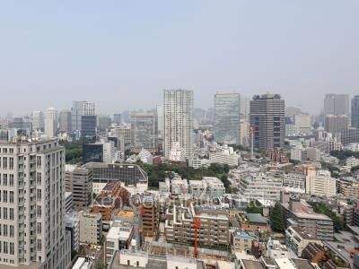 View from the property